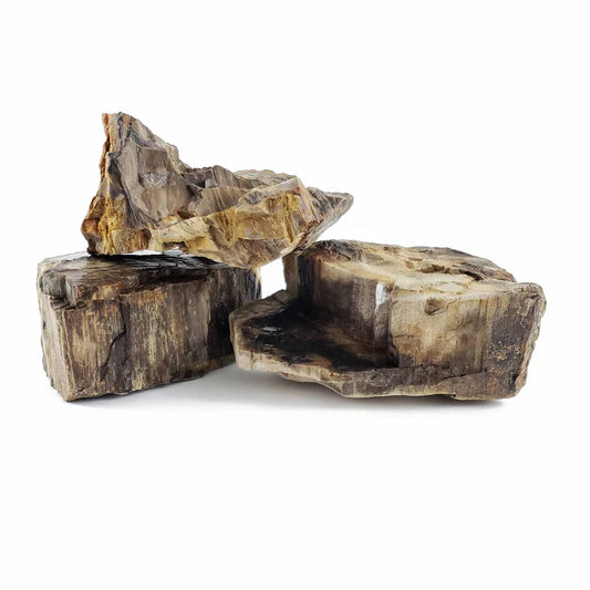 Canyon Petrified Stone Kit
