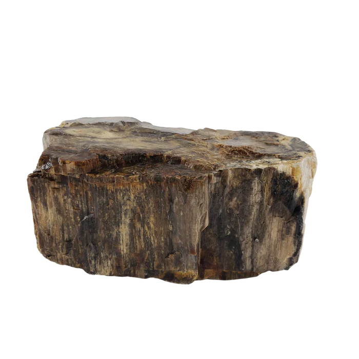 Canyon Petrified Stone Kit