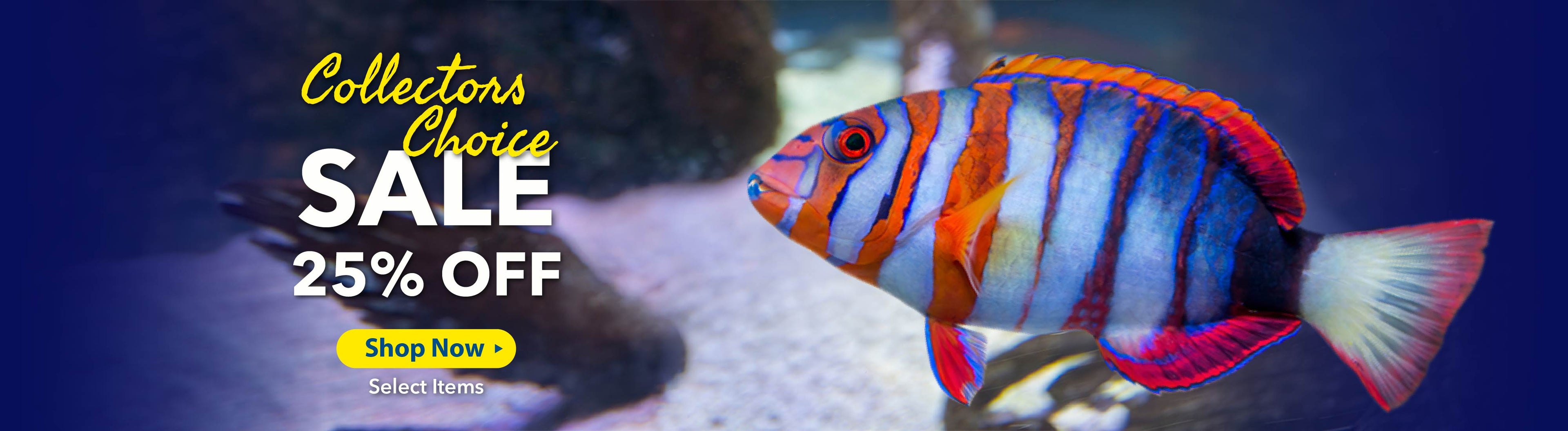 fish accessories shop near me for Marine Supplies Pacific Edge Tackle designed for both functionality and style. DAINS FISH FARM - Reviews,
