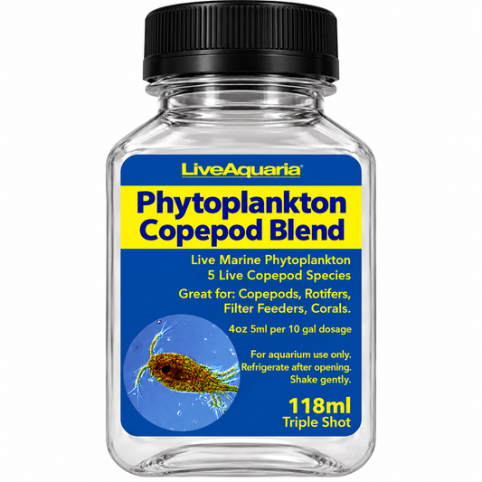 Copepod Phytoplankton - Live
