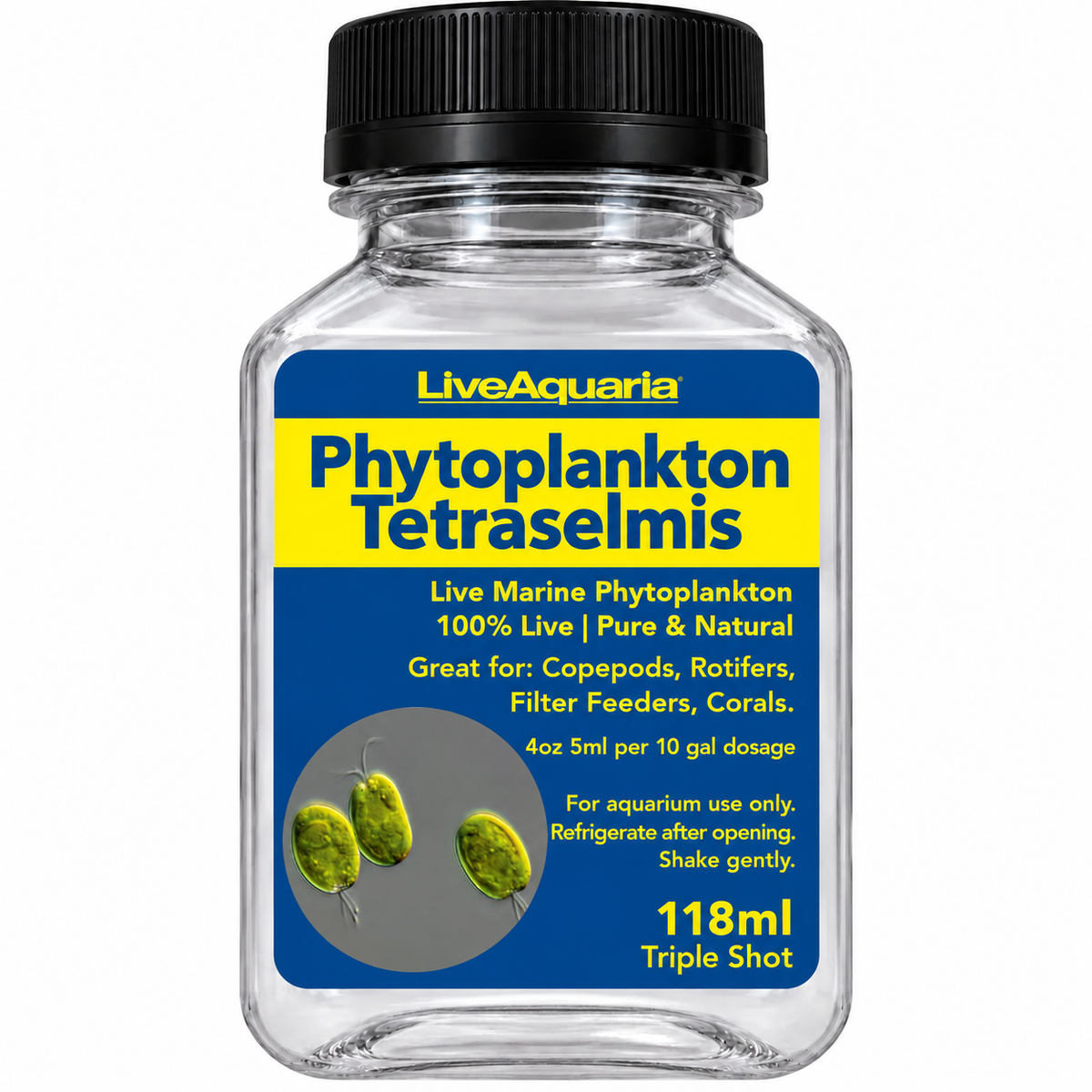 Tetraselmis Phytoplankton - Live