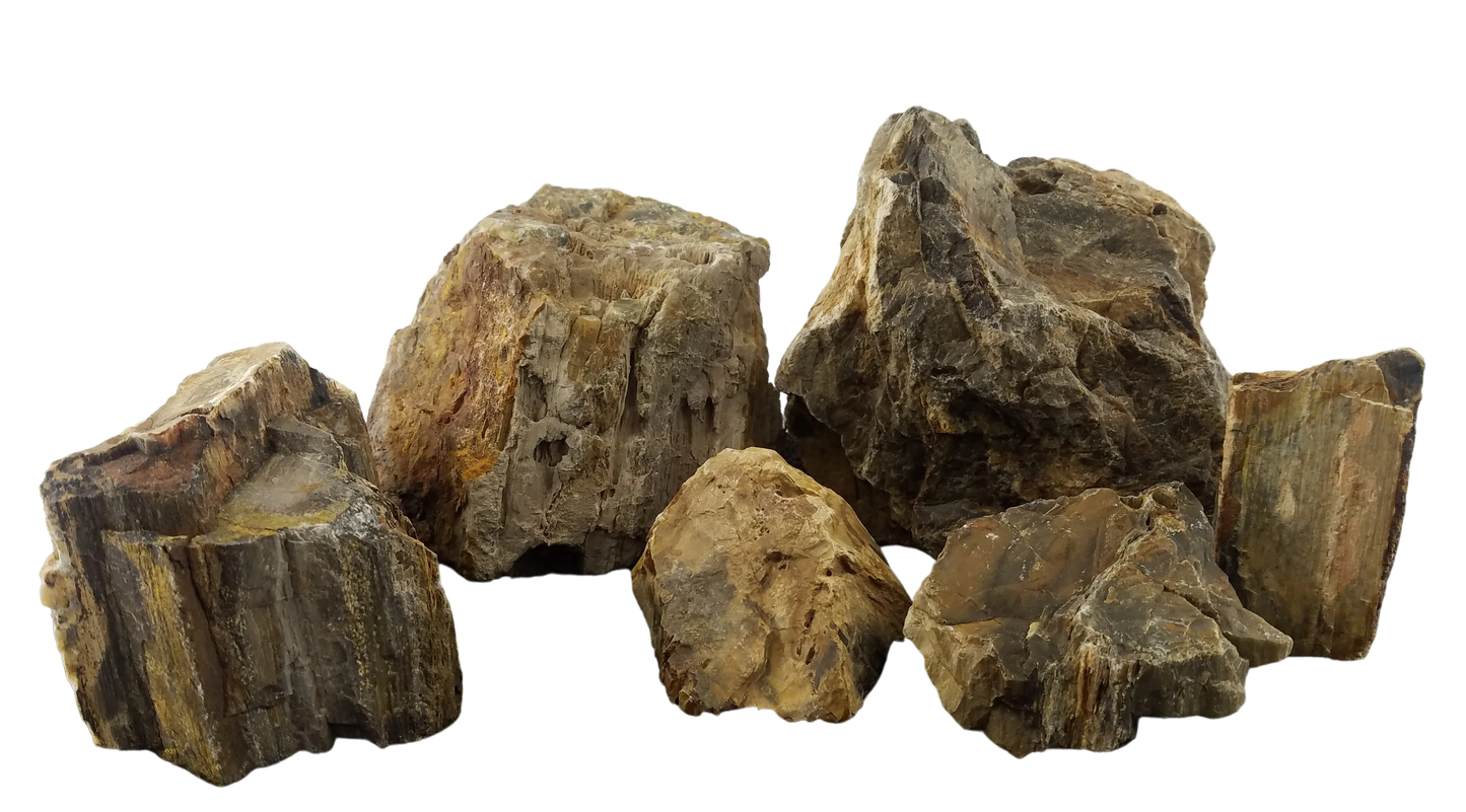 Canyon Petrified Stone Kit