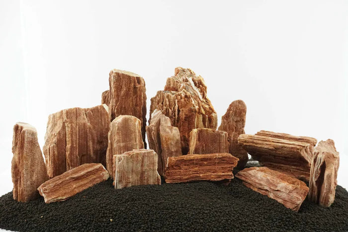 Redwood Petrified Stone Kit