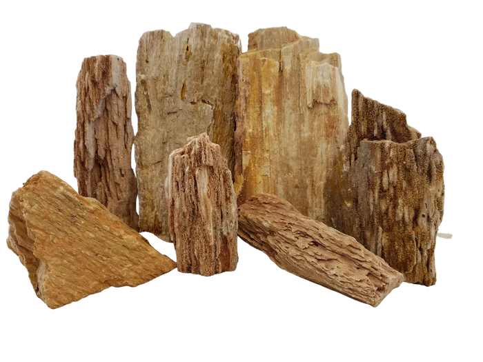 Burma Petrified Stone Kit