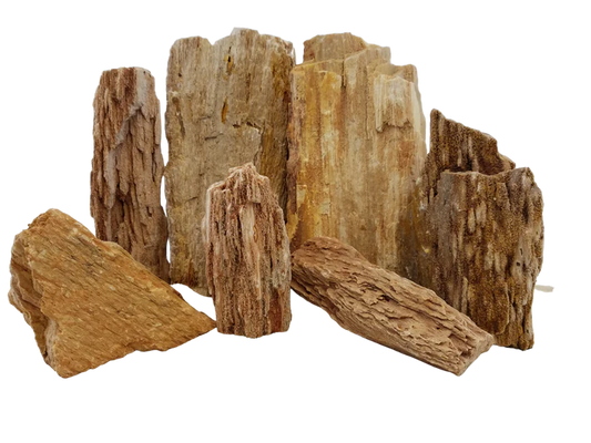 Burma Petrified Stone Kit
