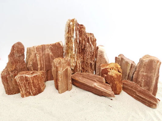 Redwood Petrified Stone Kit