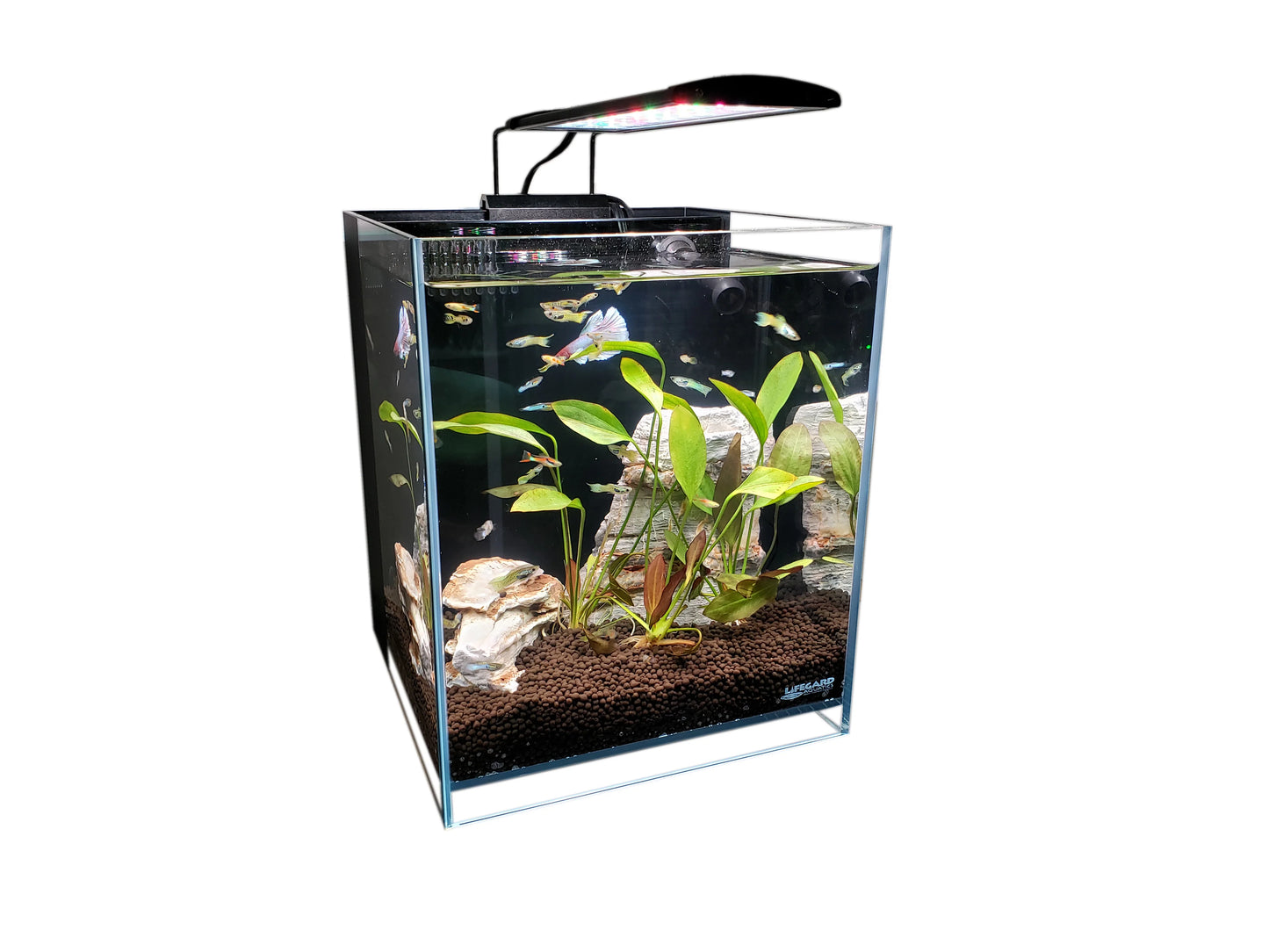 Lifegard® High Output 5" Full Spectrum LED Light w/Mounting Bracket