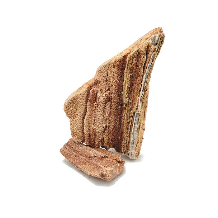 Redwood Petrified Stone Kit