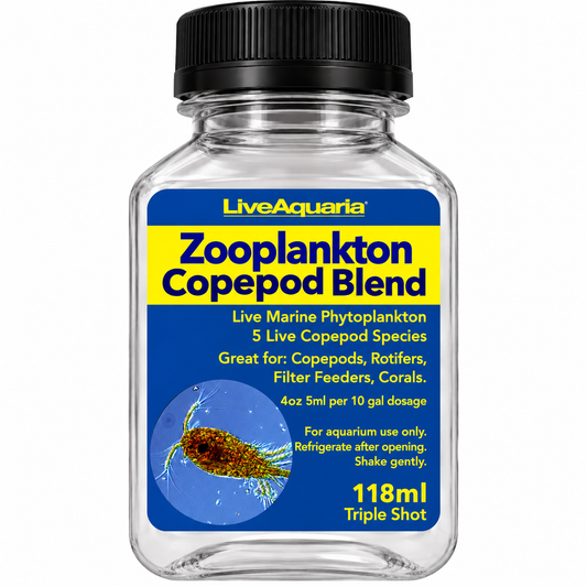 Copepod Phytoplankton - Live