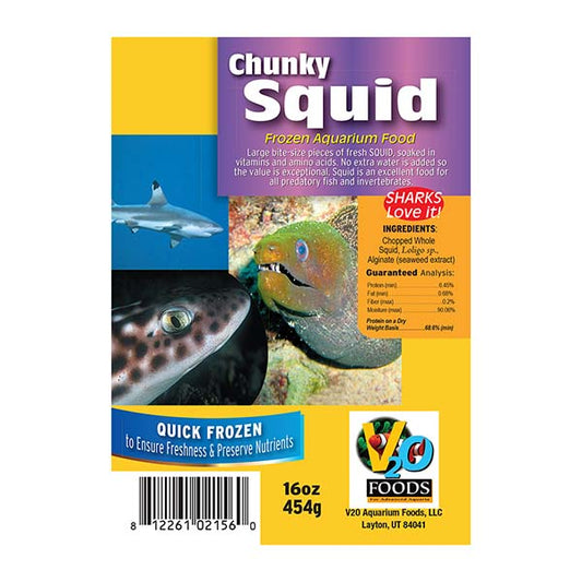 V2O Foods Squid Frozen Food