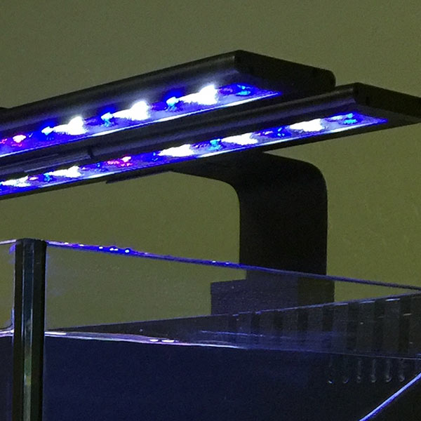 Current Orbit™ LED Adjustable Tank Mount Bracket