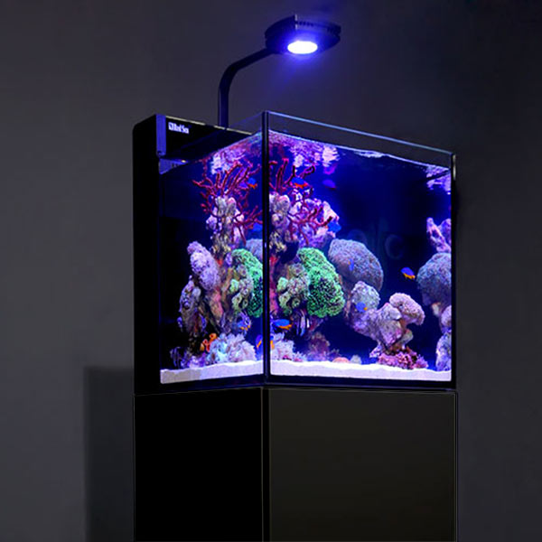Red Sea MAX® NANO Reef System - Black