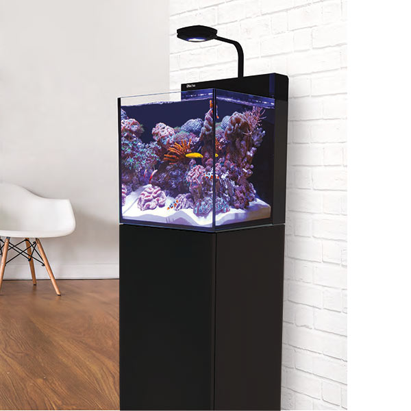 Red Sea MAX® NANO Reef System - Black