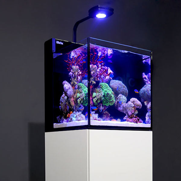 Red Sea MAX® NANO Reef System - White