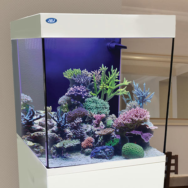 JBJ Cubey Nano All-In-One Aquarium - 10 Gallon, White