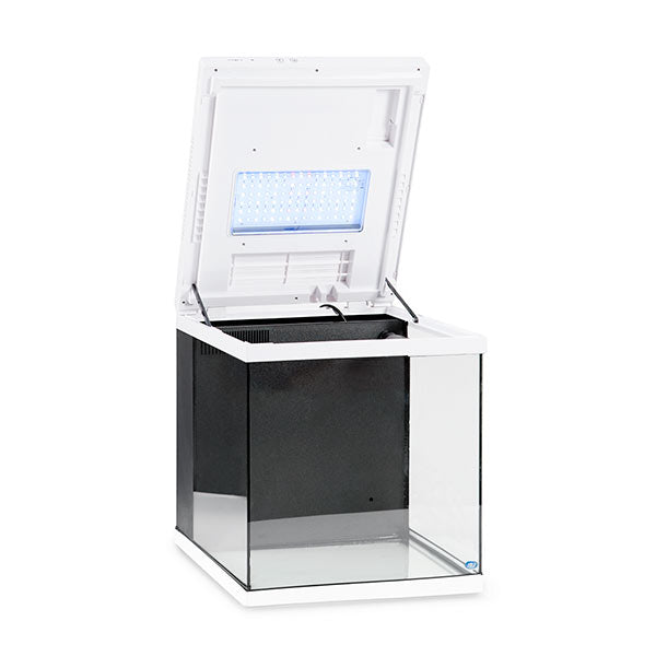 JBJ Cubey Nano All-In-One Aquarium - 10 Gallon, White – LiveAquaria