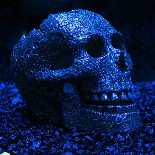 Tetra GloFish® Skull Ornament
