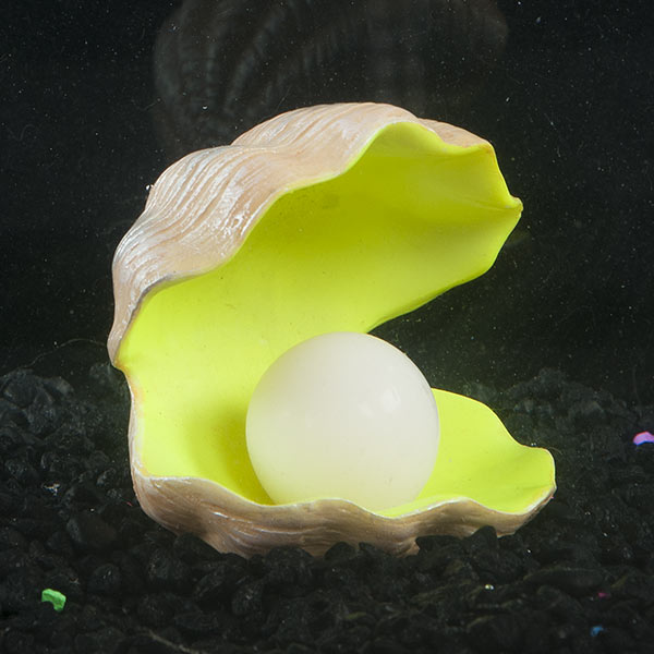 GloFish® Color-Changing Clam