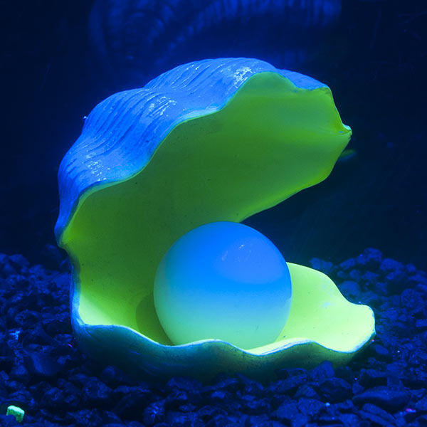GloFish® Color-Changing Clam