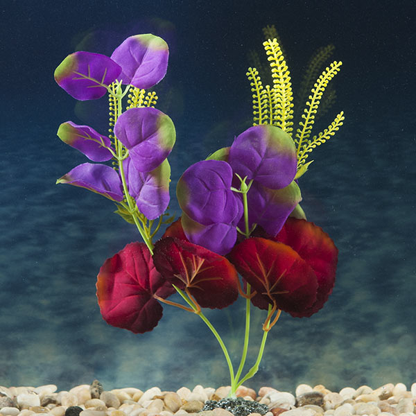 Marina Naturals Indigo & Deep Red Moneywort Silk Plant