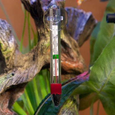 Hagen Glass Thermometer