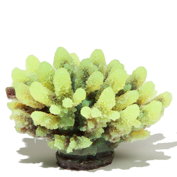 Aquatic Creations Yellow Tipped Gray Acropora Aquarium Décor