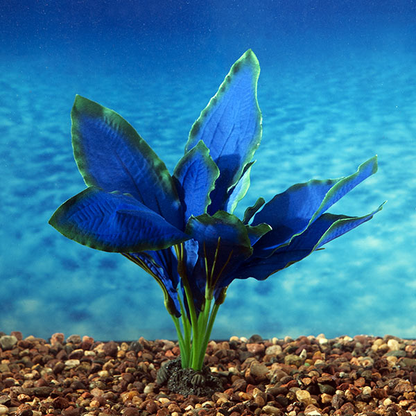 Azoo Real Plant Artificial Echindorus osiris - Blue