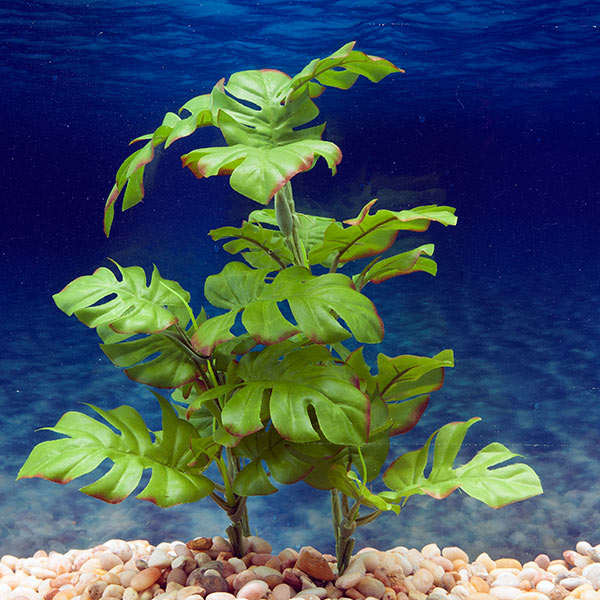 Azoo Real Plant Artificial Monstera deliciosa