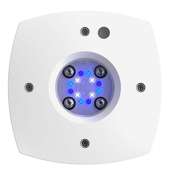 AquaIllumination Prime Sol LED Light Fixture