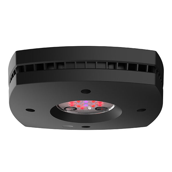 AquaIllumination Prime Fuge LED Light Fixture