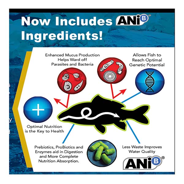 Blackwater Max Growth Medium Pellet Food, 40 lbs