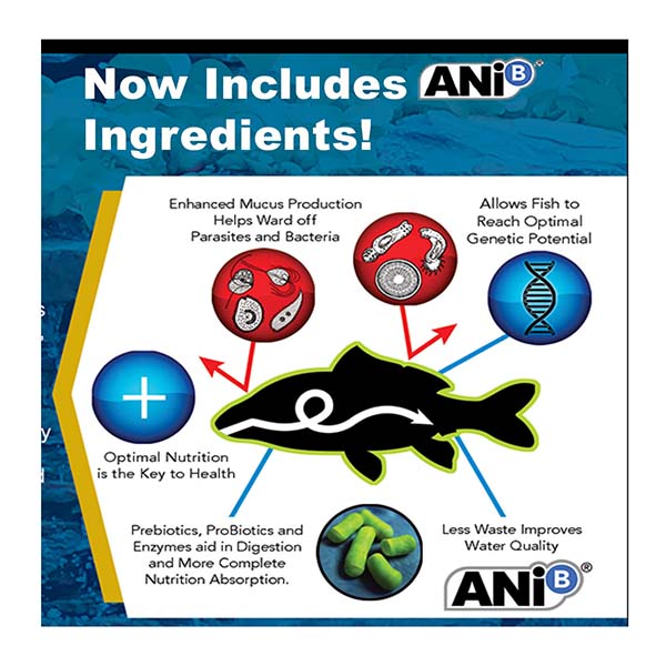 Blackwater Gold-N Medium Pellet Food