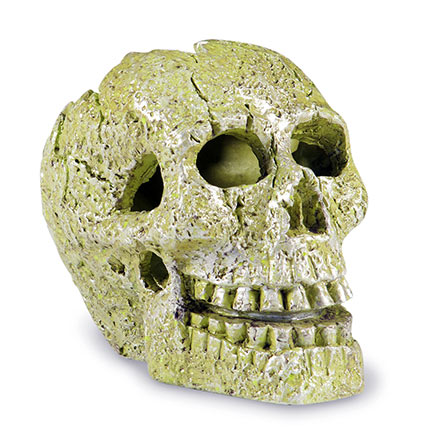 Tetra GloFish® Skull Ornament