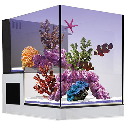 Innovative Marine NUVO Concept™ Drop-Off Peninsula Aquarium