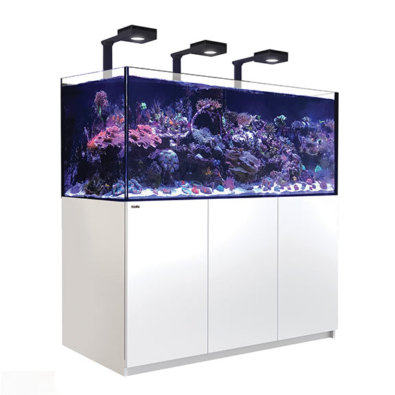 Red Sea REEFER™ DELUXE XXL 625 Rimless Reef Ready System, White ...