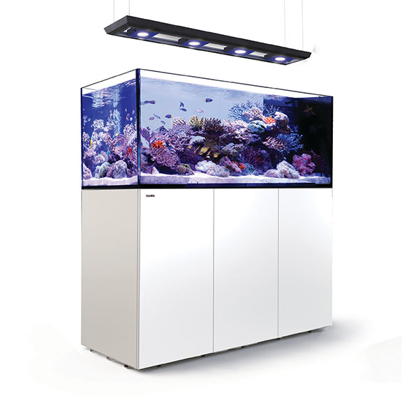 Red Sea REEFER™ DELUXE Peninsula 650 Rimless Reef Ready System, White