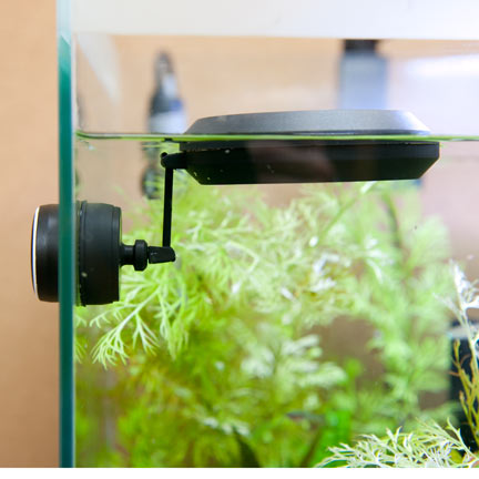 Two Little Fishies MagFeeder | Aquarium Supplies at LiveAquaria