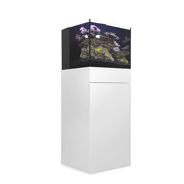 JBJ Rimless Flat Panel AIO 25 Gal. Aquarium