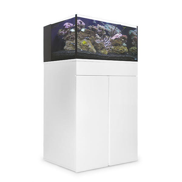 JBJ Rimless Flat Panel AIO 45 Gal. Aquarium