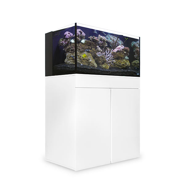 65 gallon fish tank accessories JBJ Rimless Flat Panel AIO 65 Gal. Aquarium