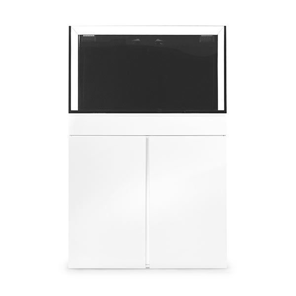 JBJ Rimless Flat Panel AIO 65 Gal. Aquarium