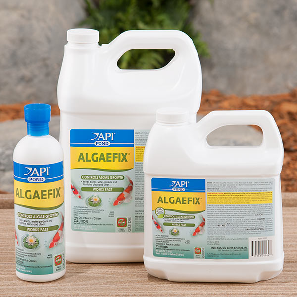 API POND ALGAEFIX ®