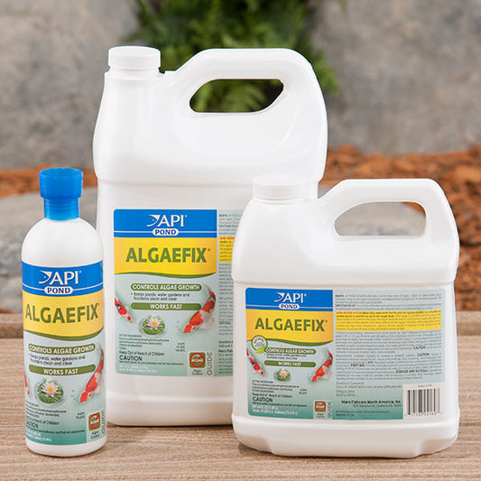 API POND ALGAEFIX ®