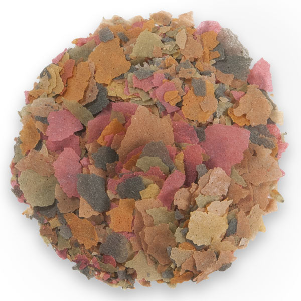 TetraMin Tropical Flakes