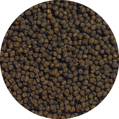 Hikari®; Cichlid Bio-Gold+