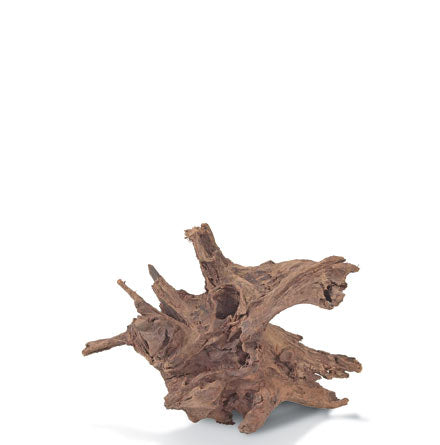 Malaysian Driftwood