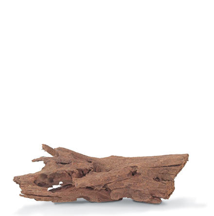 Malaysian Driftwood