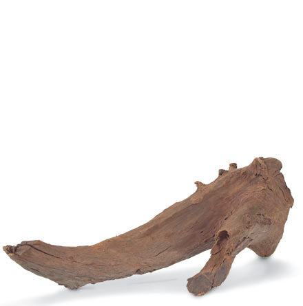 Malaysian Driftwood
