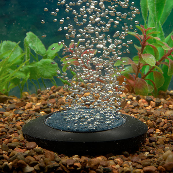 Marina Deluxe Bubble Disk