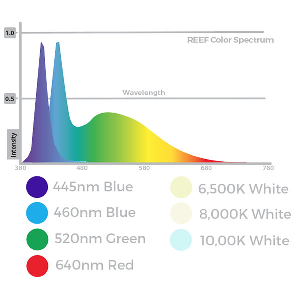 Current USA Orbit Marine LED Saltwater Reef Lighting System